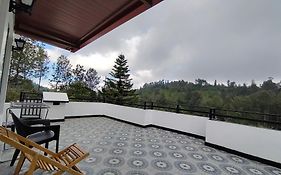 Silver Spruce Kotagiri